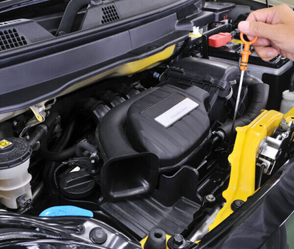 Automotive - Gas Tank Bottom